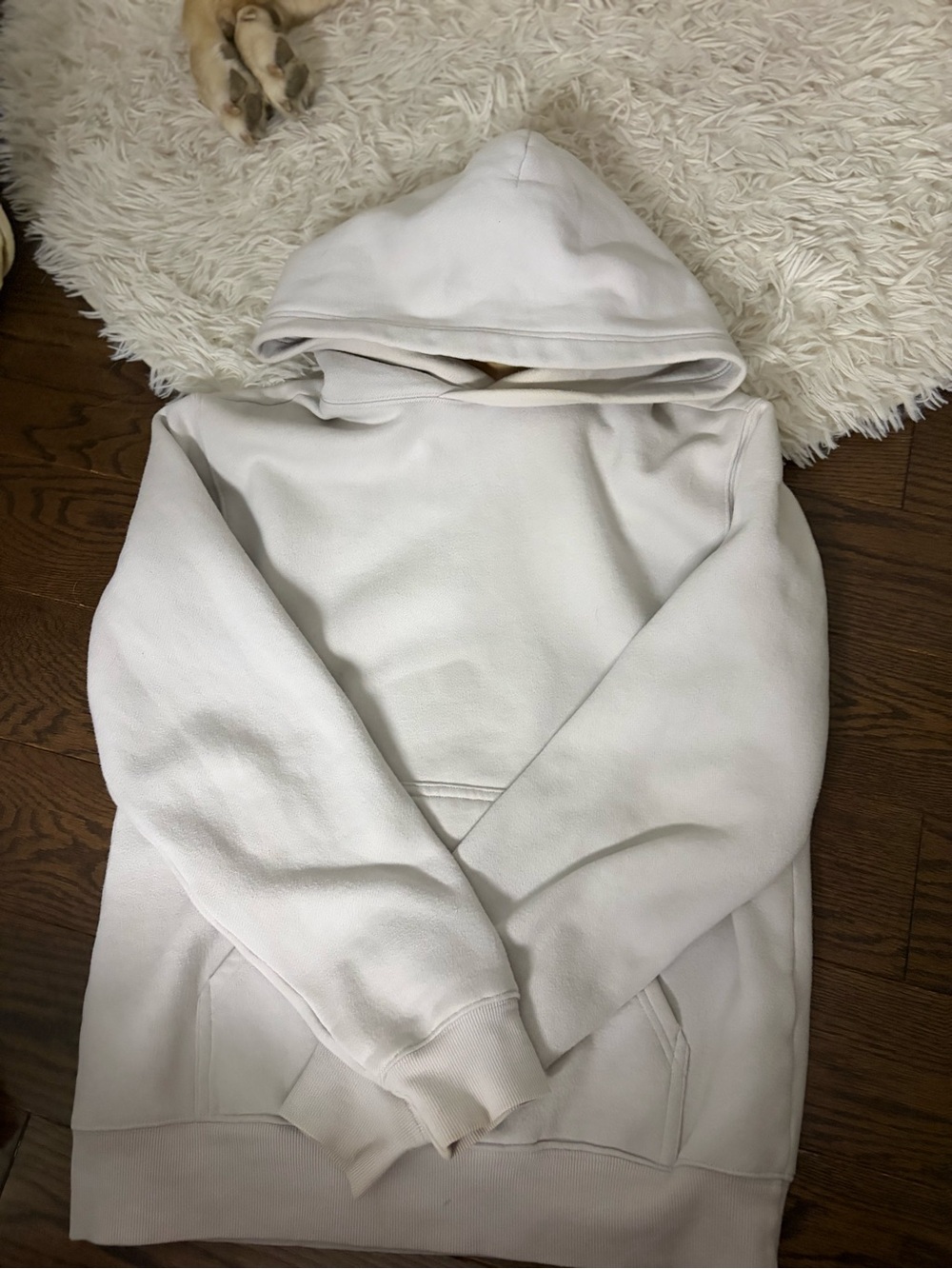 Aritzia Off-White Hooded Pullover Sweatshirt